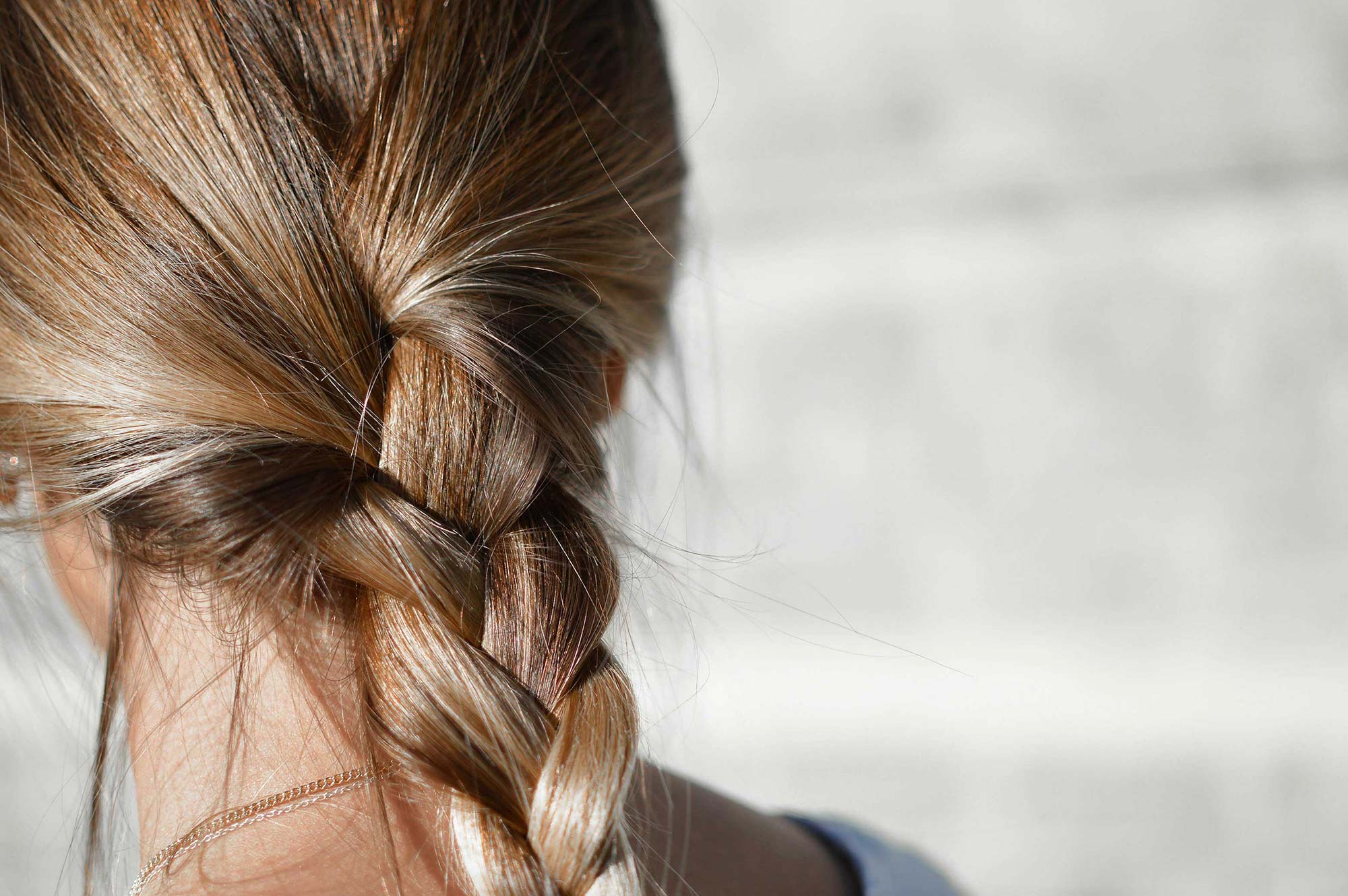 Comment utiliser le romarin sur les cheveux : bienfaits, utilisation et  propriétés
